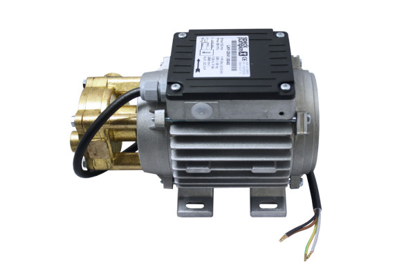 Speck Wasserpumpe, 230 Volt, hoher Kasten, Kondensator lose, Messingkopf, LNY 2841