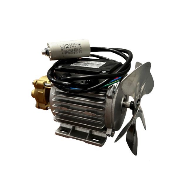 Speck Wasserpumpe, 230 Volt, flacher Kasten, Kondensator lose, Messingkopf, LNY 2841