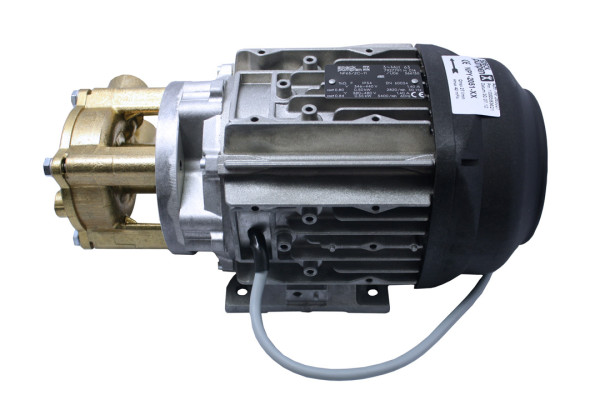Speck Wasserpumpe, 230 Volt, hoher Kasten, Kondensator innen, Messingkopf gedreht, NPY 2051