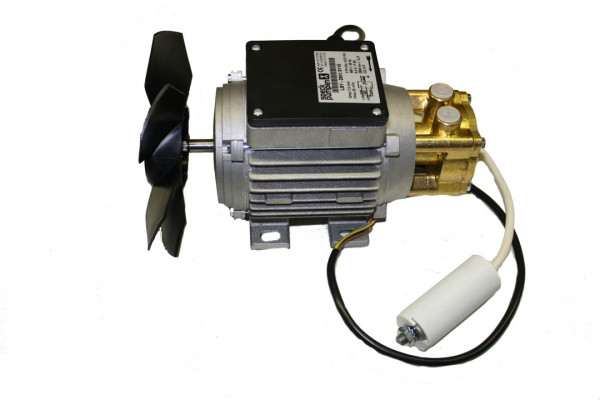 Speck Wasserpumpe, 400 Volt, hoher Kasten, Kondensator innen, Messingkopf, LNY 2041